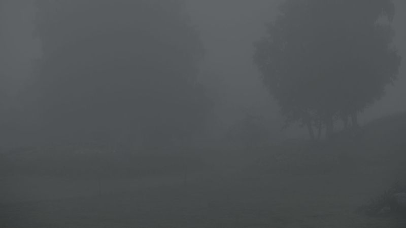 Illustration for article titled BREAKING: Lovers Lost In Fog